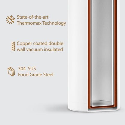 Briiton Flare Cola | Stainless Steel Water Bottle | Leakproof - 